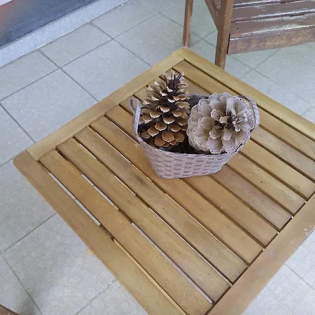 Casa vacanze Sara *